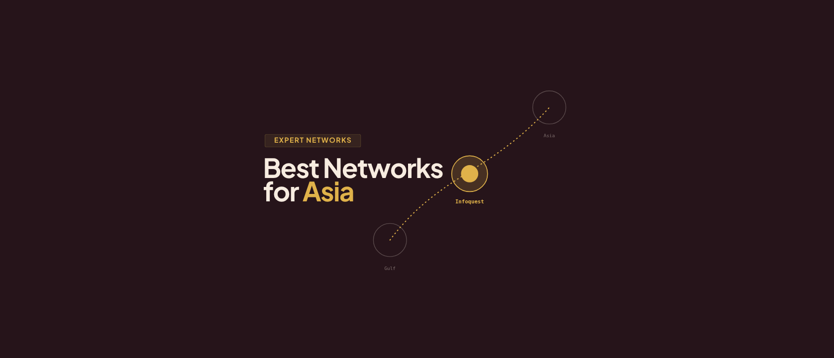 The Best Expert Networks for Asia-Pacific Research